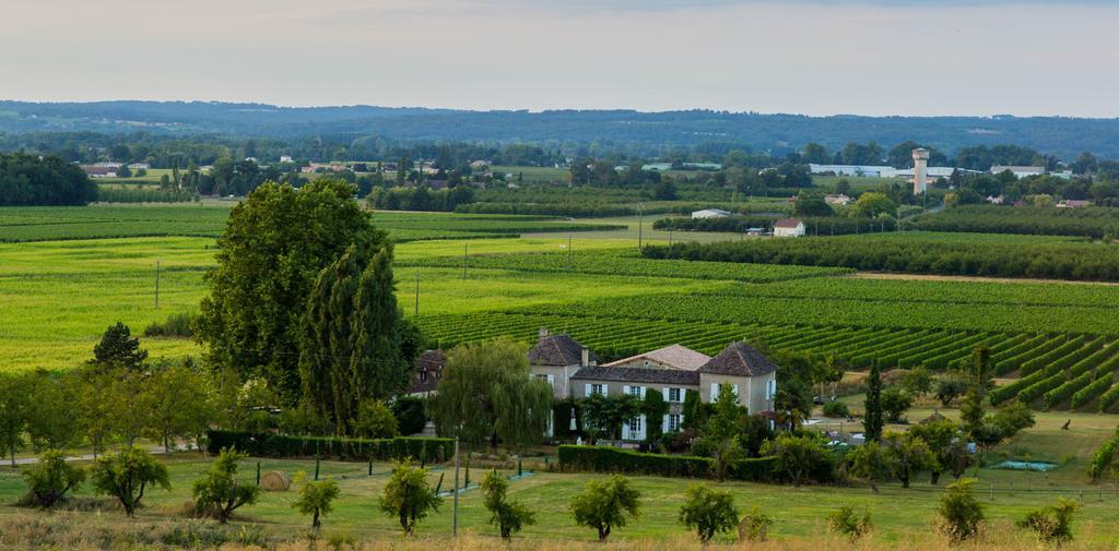 Bed and Breakfast Domaine De La Queyssie Saussignac Экстерьер фото
